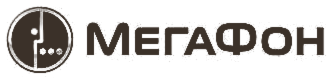 Выездные мастер-классы на новогоднем корпоративе компании МегаФон