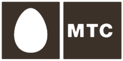 Творческие мастер-классы на зимнем корпоративе МТС
